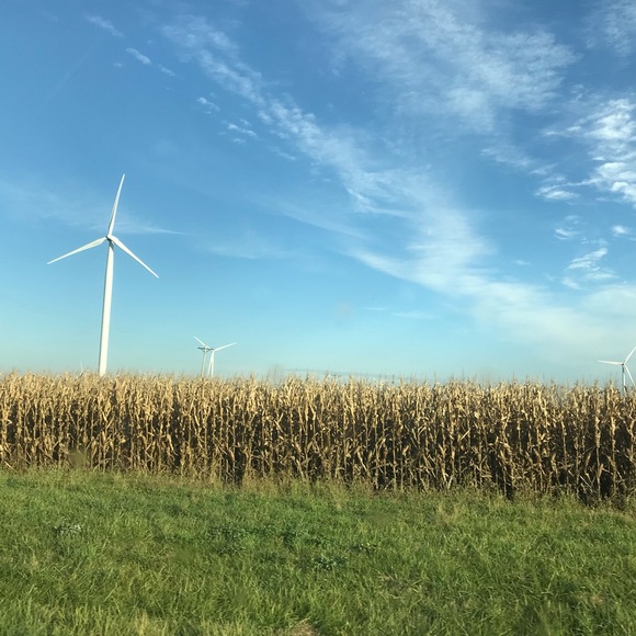 Meet your Posher, Sandra - Picture 1 of 1